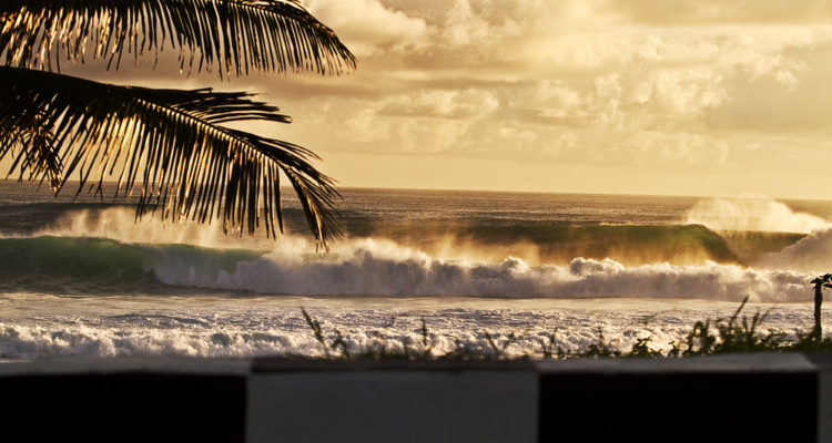Barbados Surf Destination