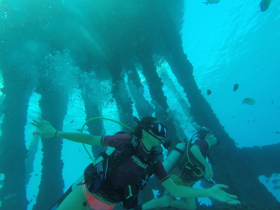Aquatica dive and surf discount