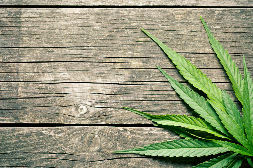 Medical marijuana controversy
